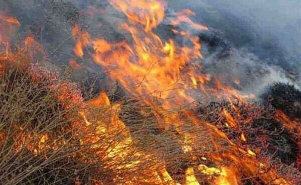آتش‌سوزی مراتع ساوجبلاغ مهار شد