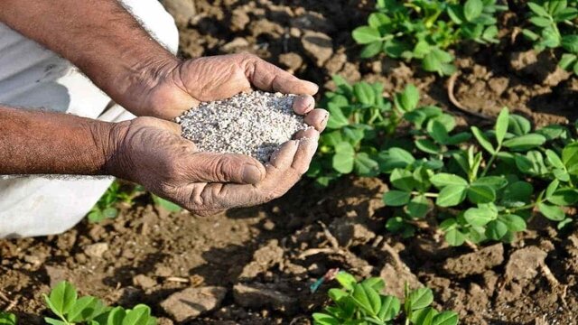 فعالیت ۶۰ کارگزاری در استان یزد برای توزیع کودهای کشاورزی مورد نیاز بهره‌برداران