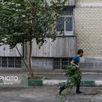 هشدار هواشناسی درباره احتمال وزش باد شدید در تهران
