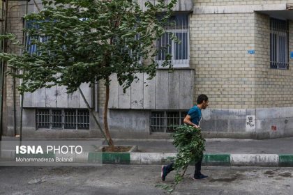 هشدار هواشناسی درباره احتمال وزش باد شدید در تهران