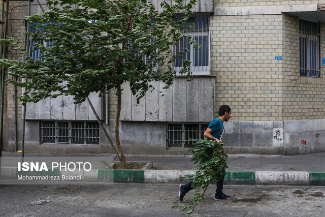 هشدار هواشناسی درباره احتمال وزش باد شدید در تهران