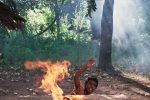 «باشو، غریبه کوچک» در تورنتو