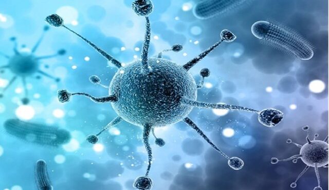 واکسن گونه‌های پرخطر HPV باید وارد واکسیناسیون عمومی شود