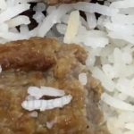واکنش دانشگاه علوم پزشکی همدان به ماجرای «کرم در غذای دانشجو»؛ غذا پس از توزیع در شرایط نامناسبی نگهداری‌ شده