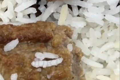 واکنش دانشگاه علوم پزشکی همدان به ماجرای «کرم در غذای دانشجو»؛ غذا پس از توزیع در شرایط نامناسبی نگهداری‌ شده