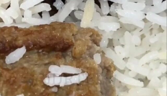 واکنش دانشگاه علوم پزشکی همدان به ماجرای «کرم در غذای دانشجو»؛ غذا پس از توزیع در شرایط نامناسبی نگهداری‌ شده