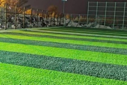 ۱۰ زمین چمن مصنوعی مینی‌فوتبال در بروجرد وجود دارد