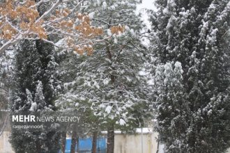 بارش برف ایلام را سفیدپوش کرد