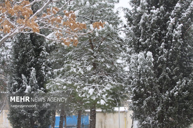 بارش برف ایلام را سفیدپوش کرد