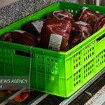 تأمین ۱۵ درصد گوشت استان توسط عشایر خراسان رضوی