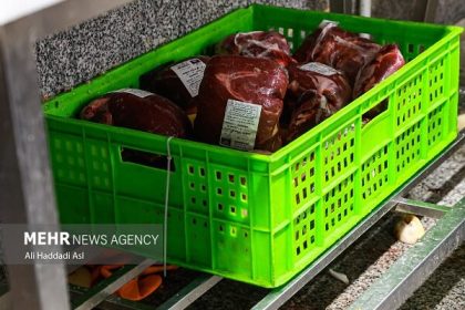 تأمین ۱۵ درصد گوشت استان توسط عشایر خراسان رضوی