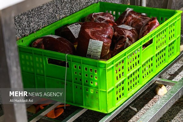 تأمین ۱۵ درصد گوشت استان توسط عشایر خراسان رضوی