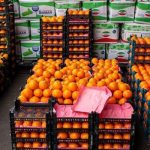 آمادگی بازار کردستان برای رمضان و نوروز؛ ذخیره کالا و تشدید نظارت‌ها