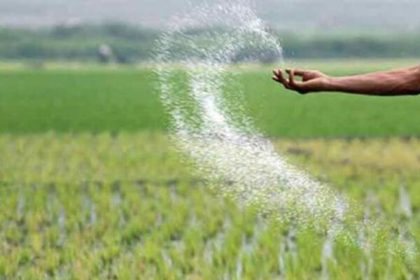 3583636
